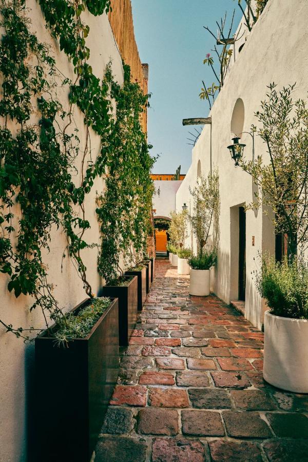 Hotel Mesón Hidalgo San Miguel de Allende Exterior foto